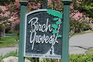 birch groves on candlewood lake